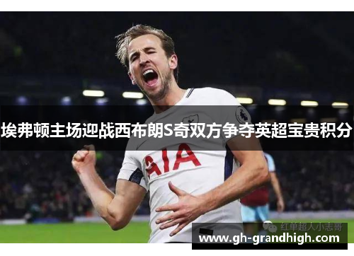 埃弗顿主场迎战西布朗S奇双方争夺英超宝贵积分
